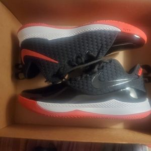 Nike Lebron Witness 3